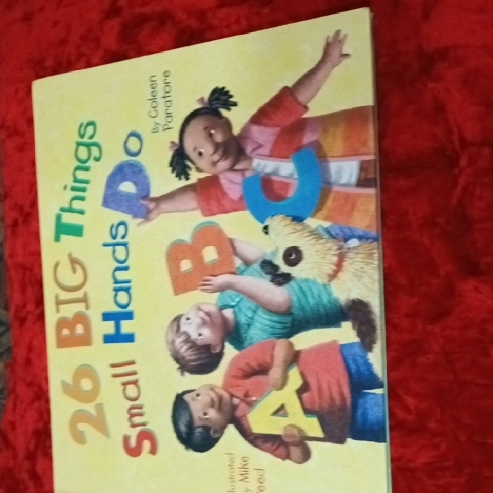 26 Big Things Small Hands Do Book